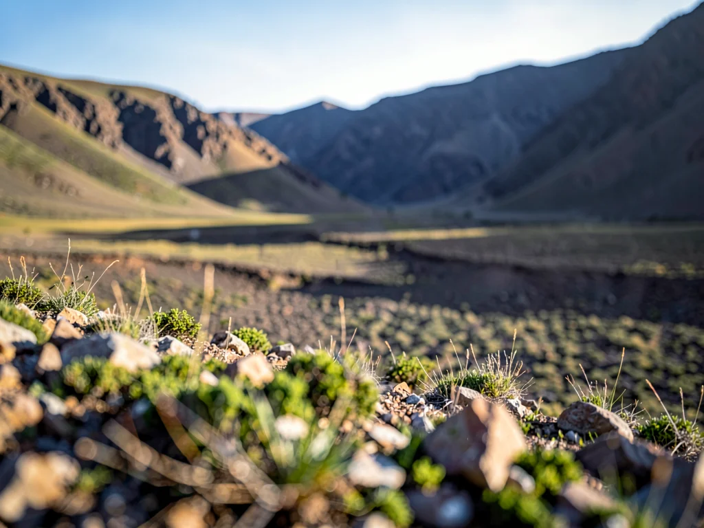 Valley floor to rim all in focus