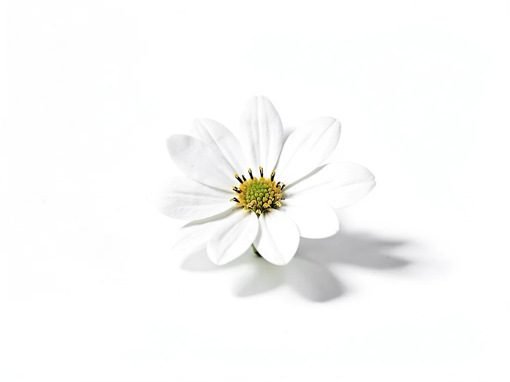 White flower emerging from white