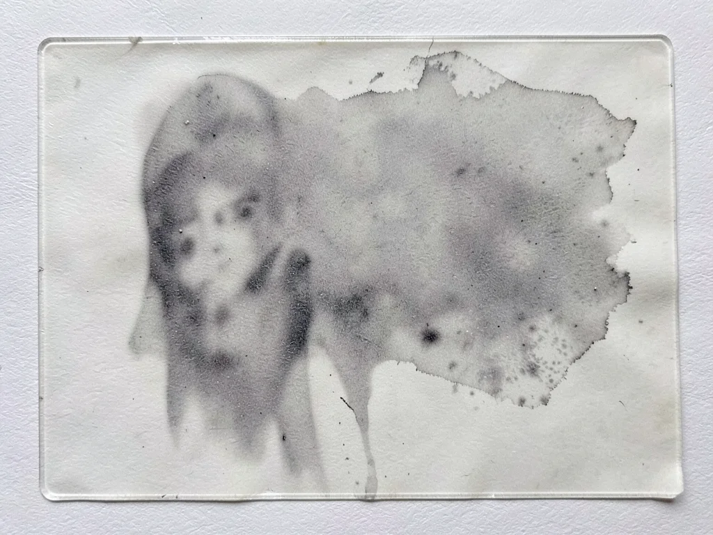 Ink plate after printing, residual thin film showing ghost of what was pulled, p