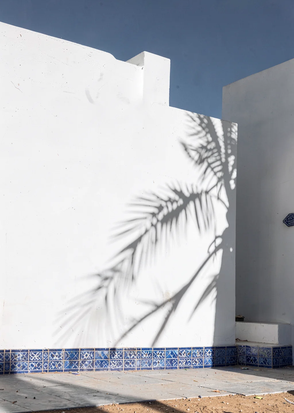 Extreme minimalist restraint of Muscat, Oman, date palm shadow on white wall, st