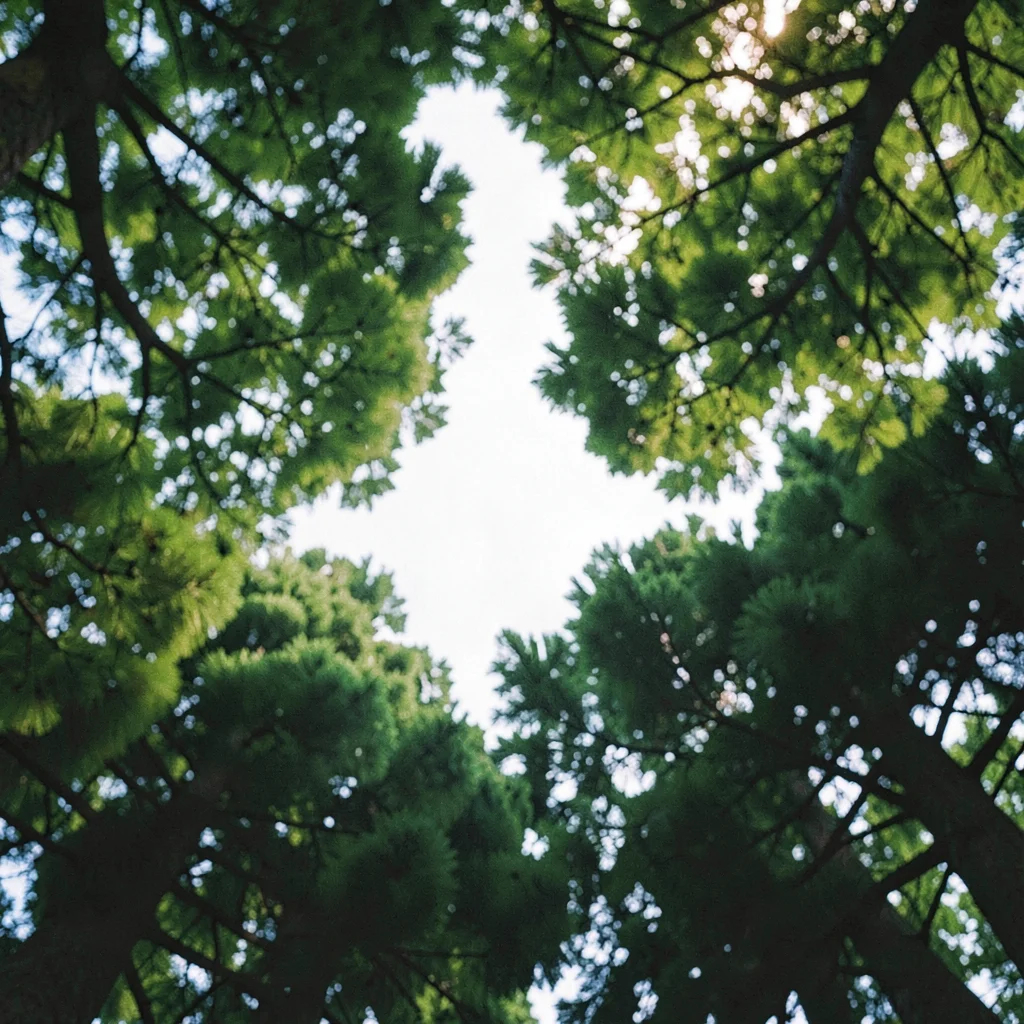 canopy view from below, layered green silhouettes