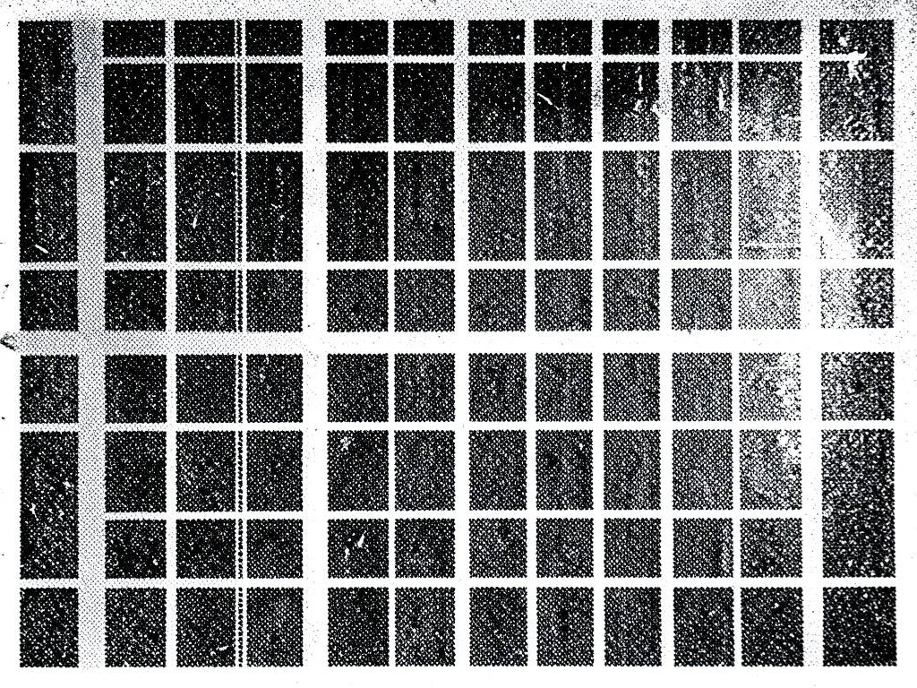 Mesh fabric photocopied at maximum contrast, regular grid amplified into bold ge