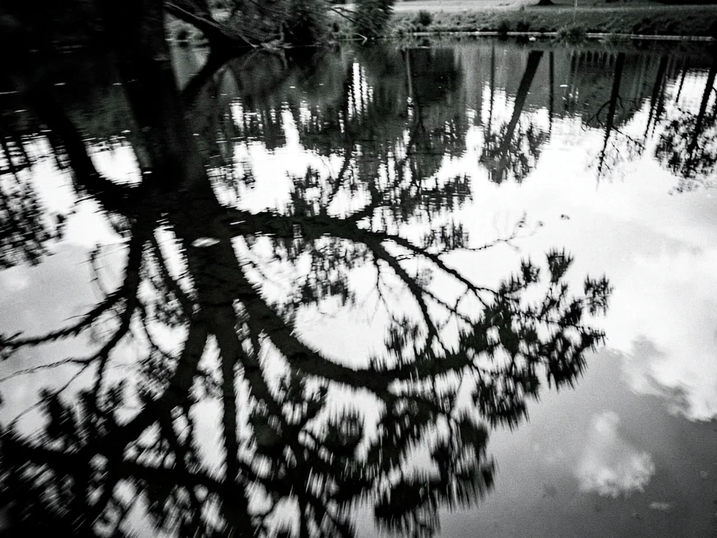 Tree reflection blur in water