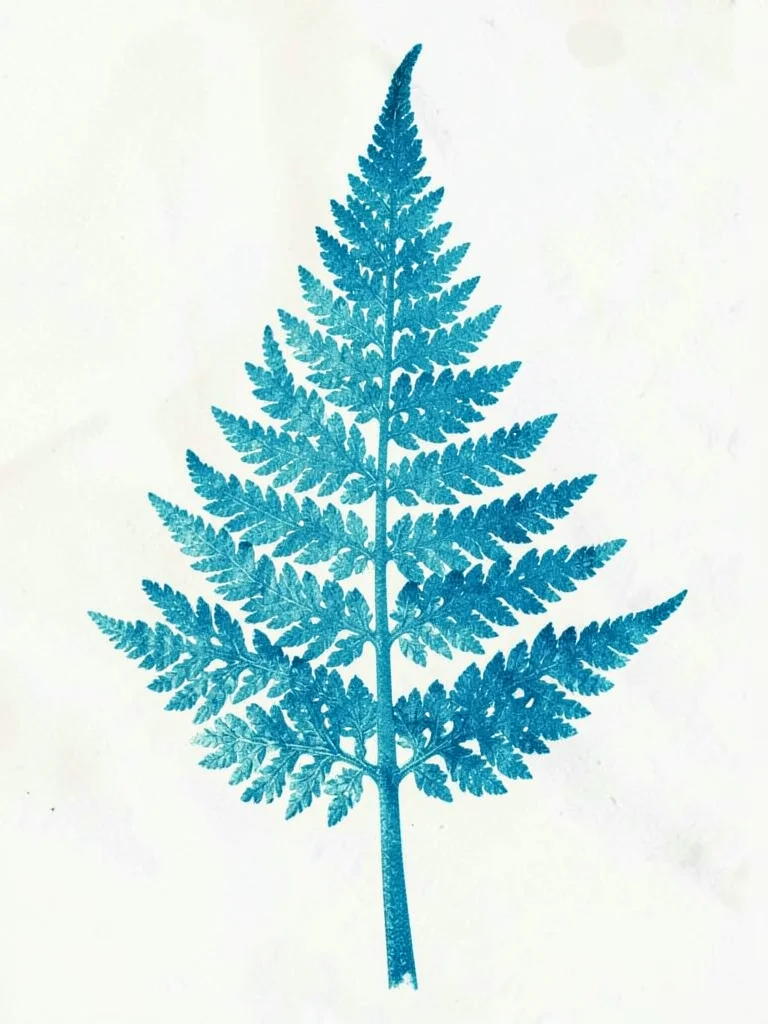 Fern frond cyanotype