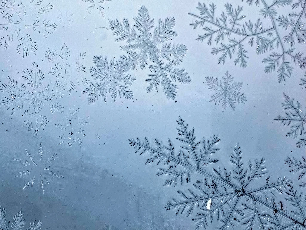 Frost pattern following temperature gradient