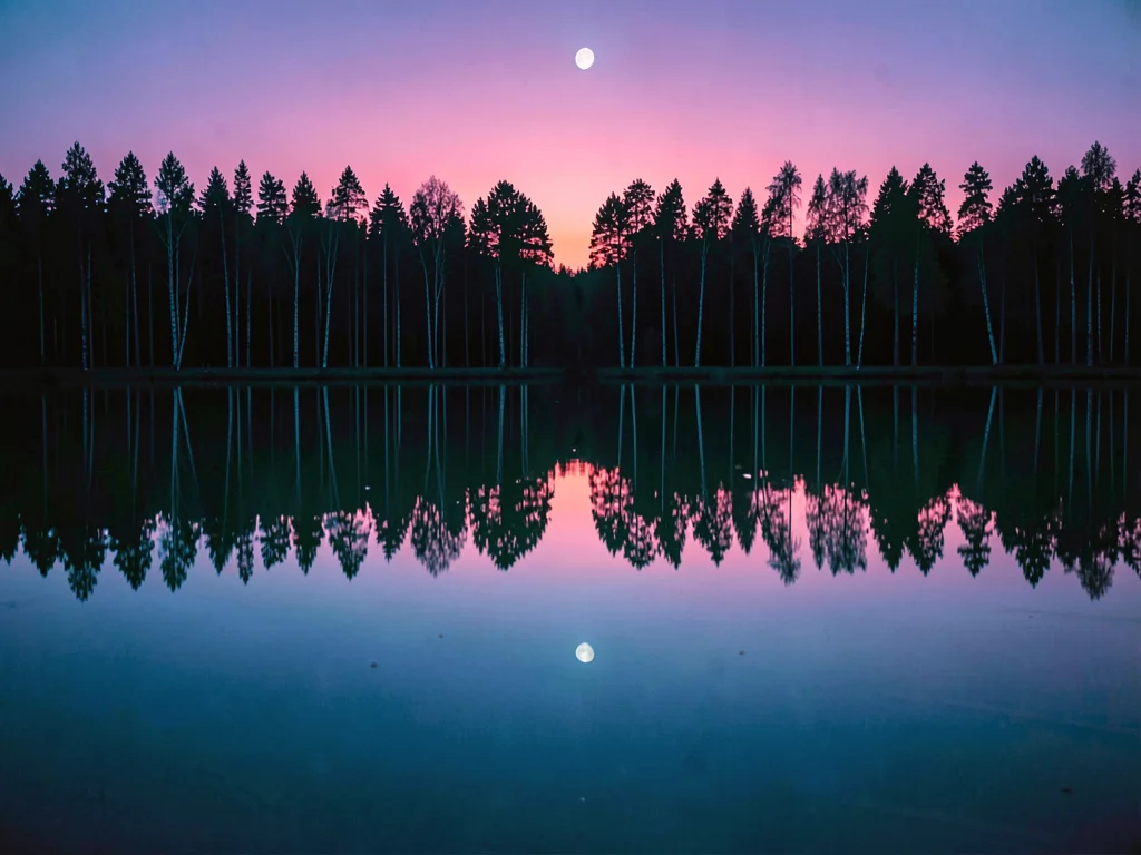 Finnish lake mirror, dead-calm reflection, the silhouette of birch trees at midn