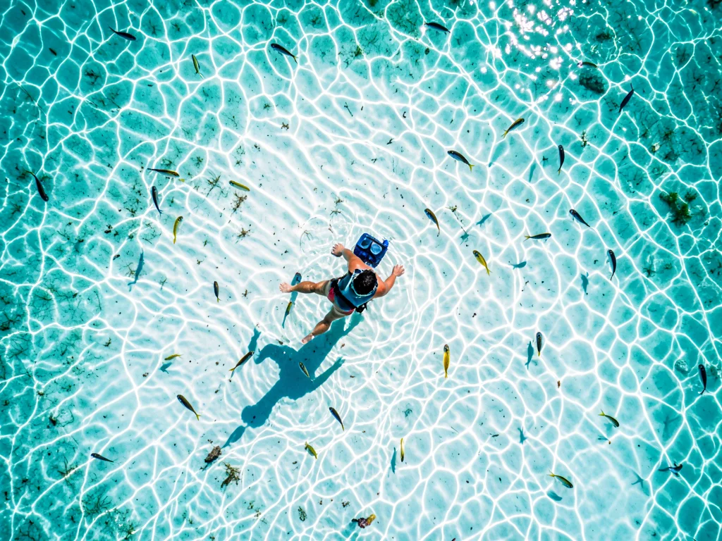A coral snorkeler from above in clear shallow water, the person's shadow on the 