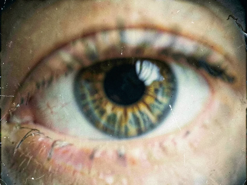 Soft focus iris showing structure