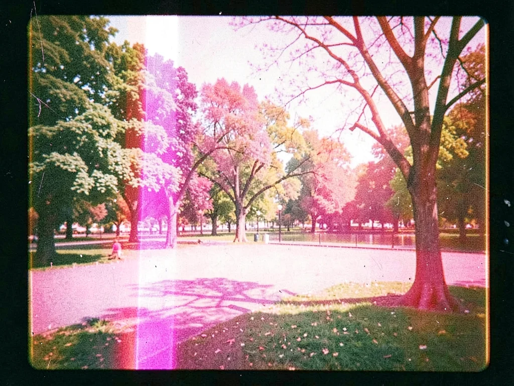 Park scene with magenta intrusion