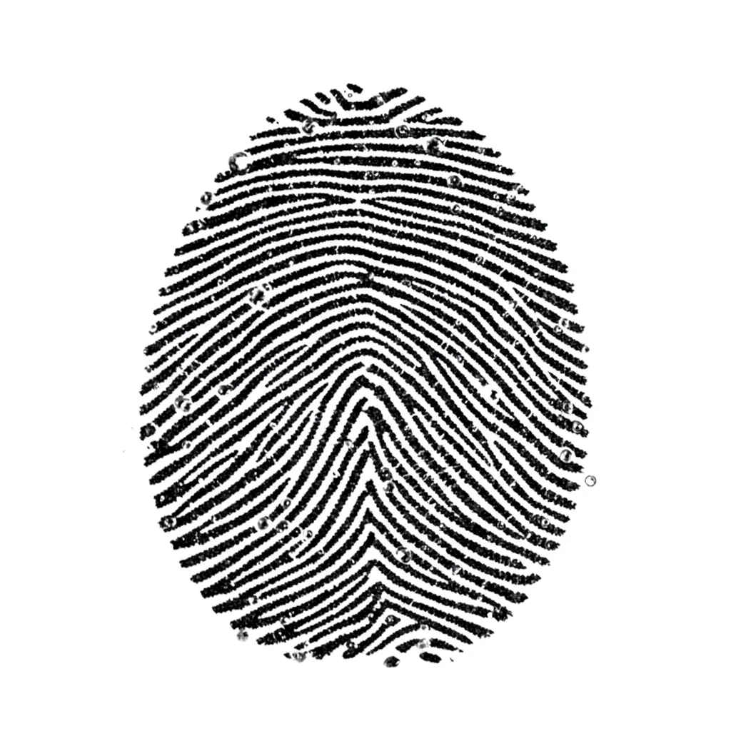 A fingerprint at 5:1 showing individual ridge patterns, sweat pores visible as t