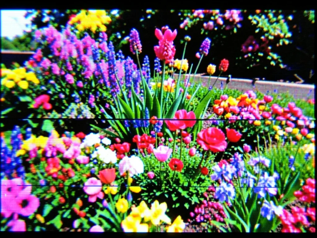 Corrupted digital photo of spring garden, color channels shifted, pixel blocks