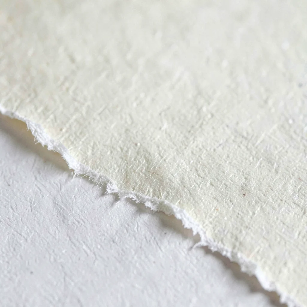 Macro of cream paper torn along a deckle edge revealing fiber bloom