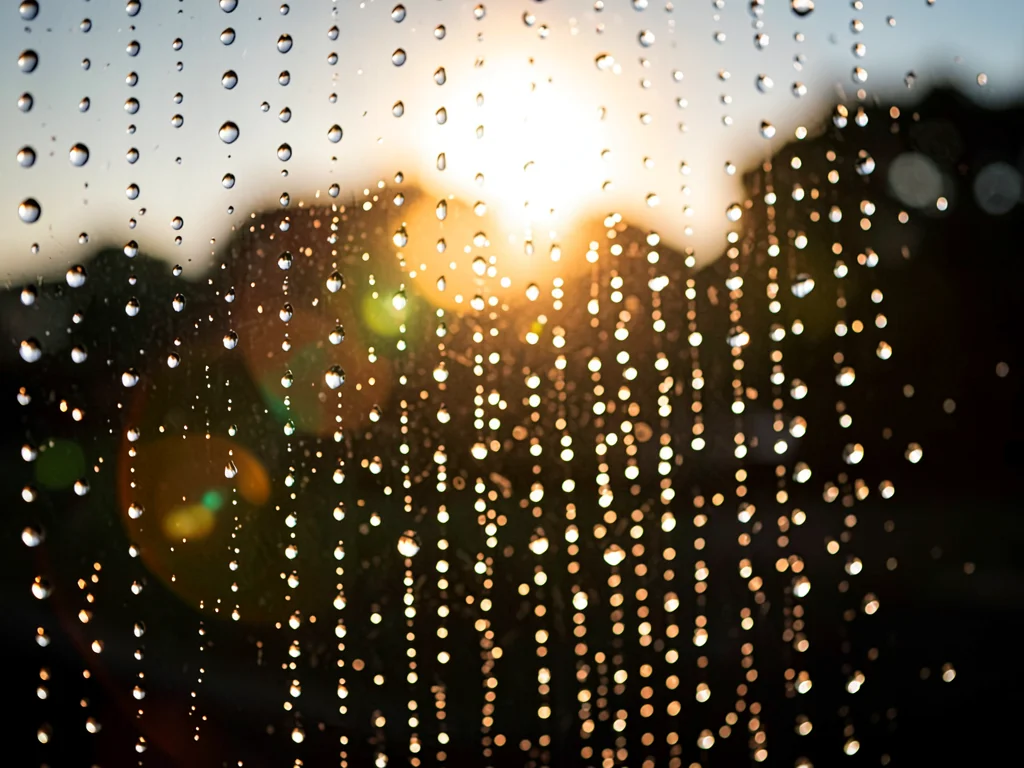 Rain shower backlit showing drop pattern
