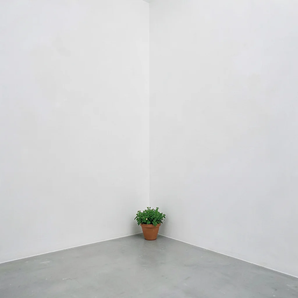 Small flower pot in corner of vast white wall