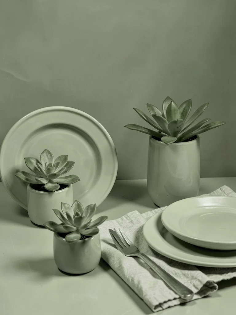 Sage green tableau, succulents, linen napkin, ceramic plates, olive tinted light