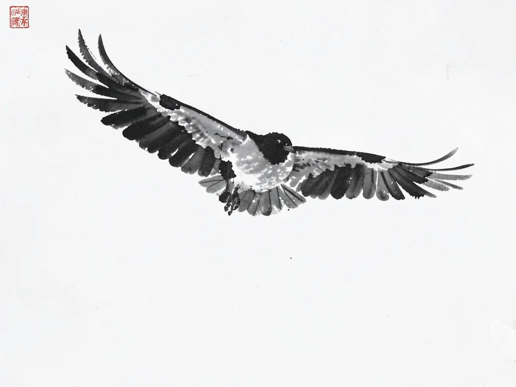 Crow in flight, wings fully spread, below an empty sky