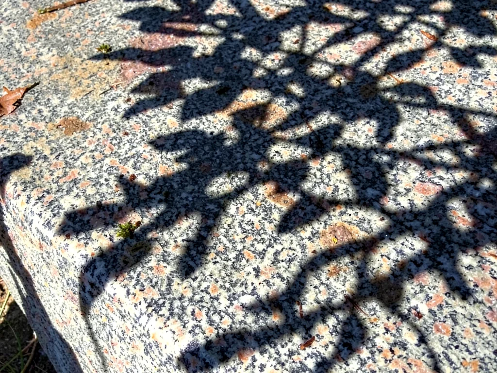 Shadow pattern from nearby tree on stone