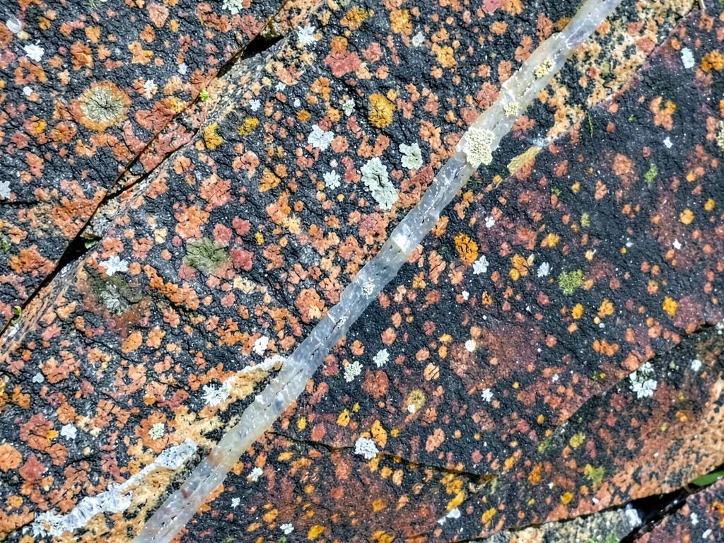 Quartz vein cutting through darker granite