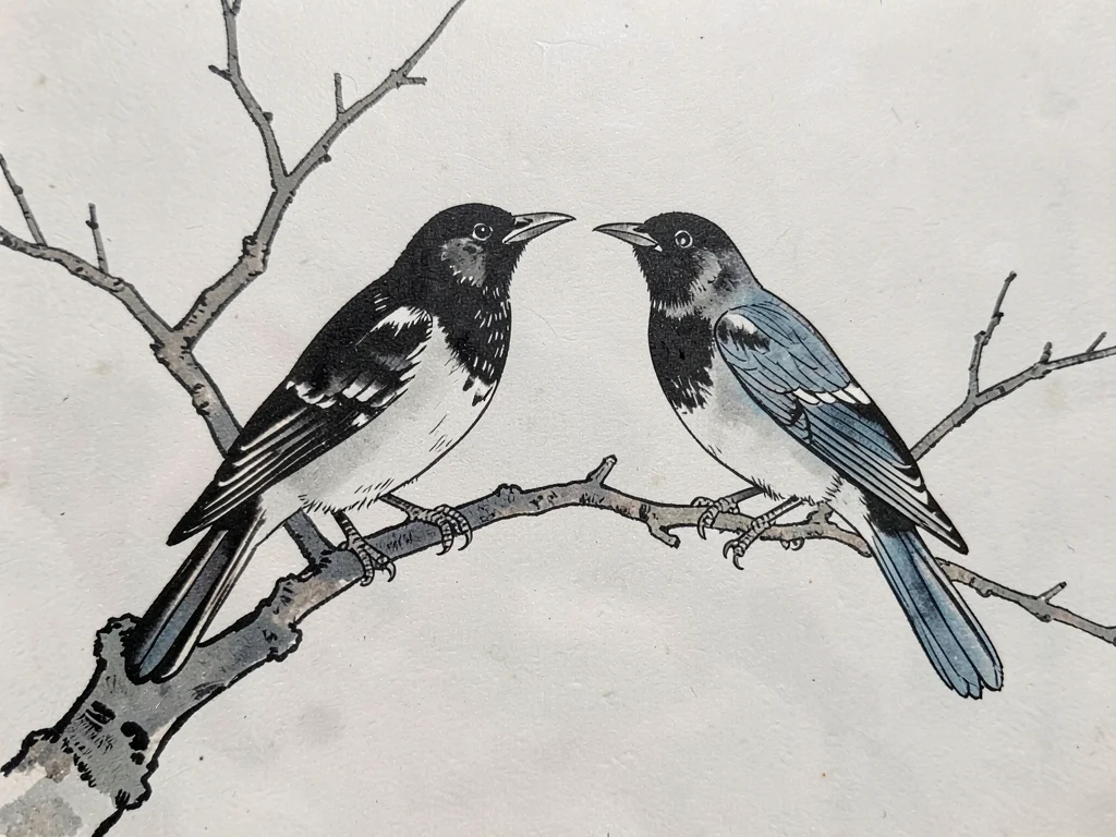 Two crows perched on a bare branch, facing opposite directions