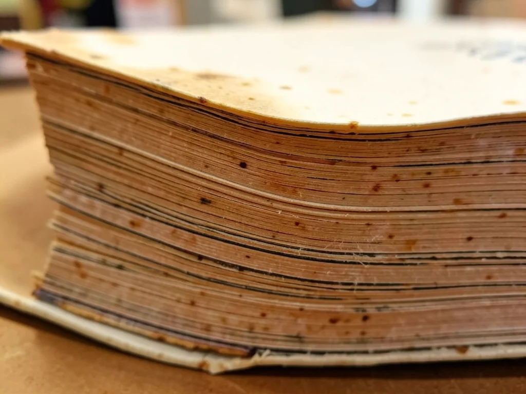 Book edge after heavy use, pages swollen unevenly from handling, some leaves pro