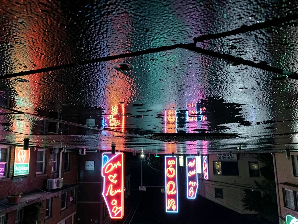 Neon signs inverted in wet pavement