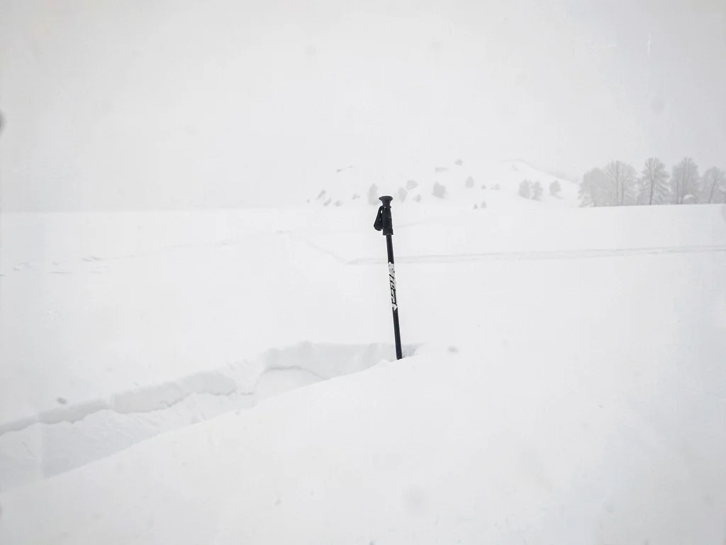Single ski pole planted in white expanse