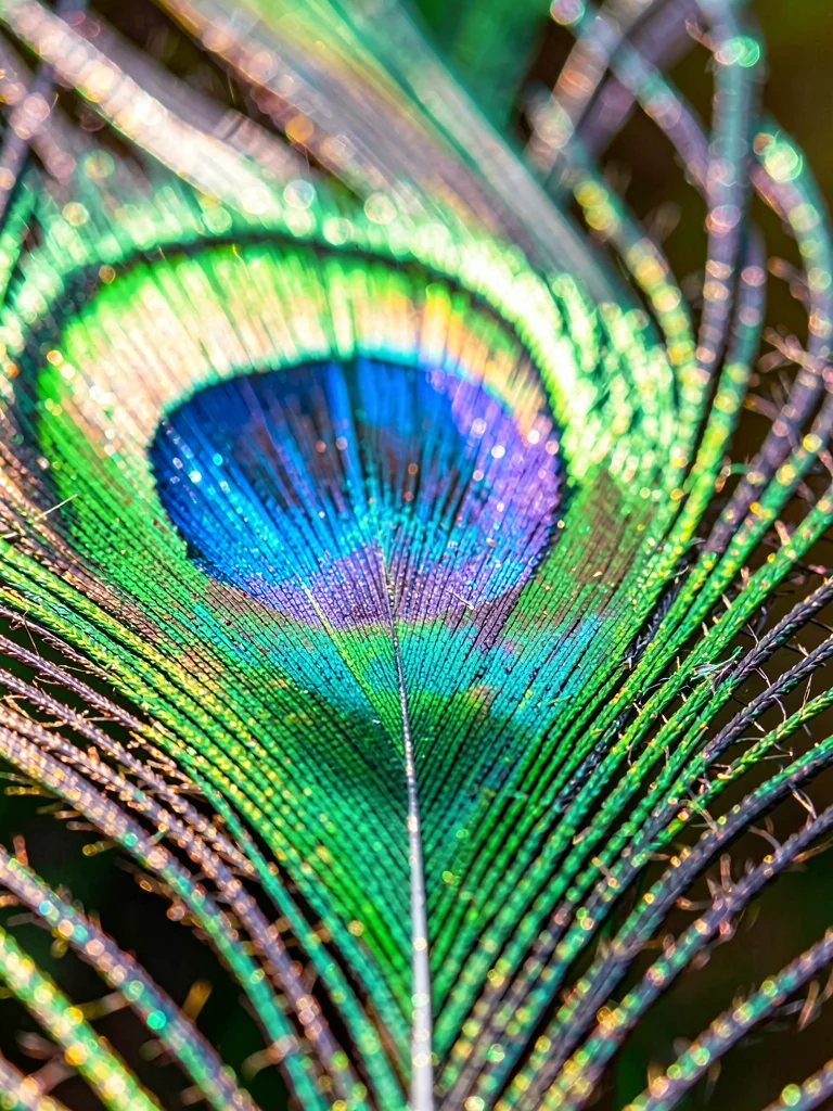 A peacock feather barbule at extreme magnification, interlocking hooks visible