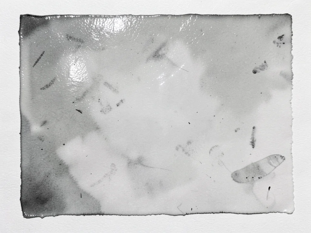 Oil-based monoprint ink surface, glossy wet-looking texture even when dry, perma
