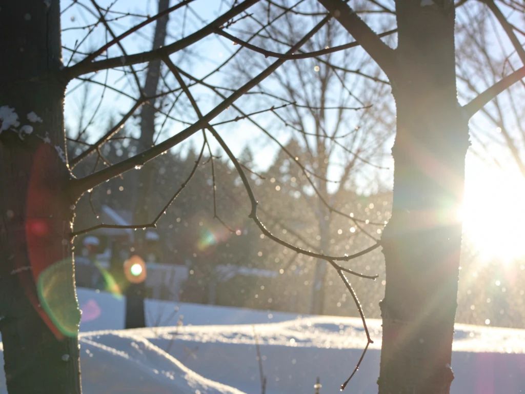 Winter breath backlit catching sun