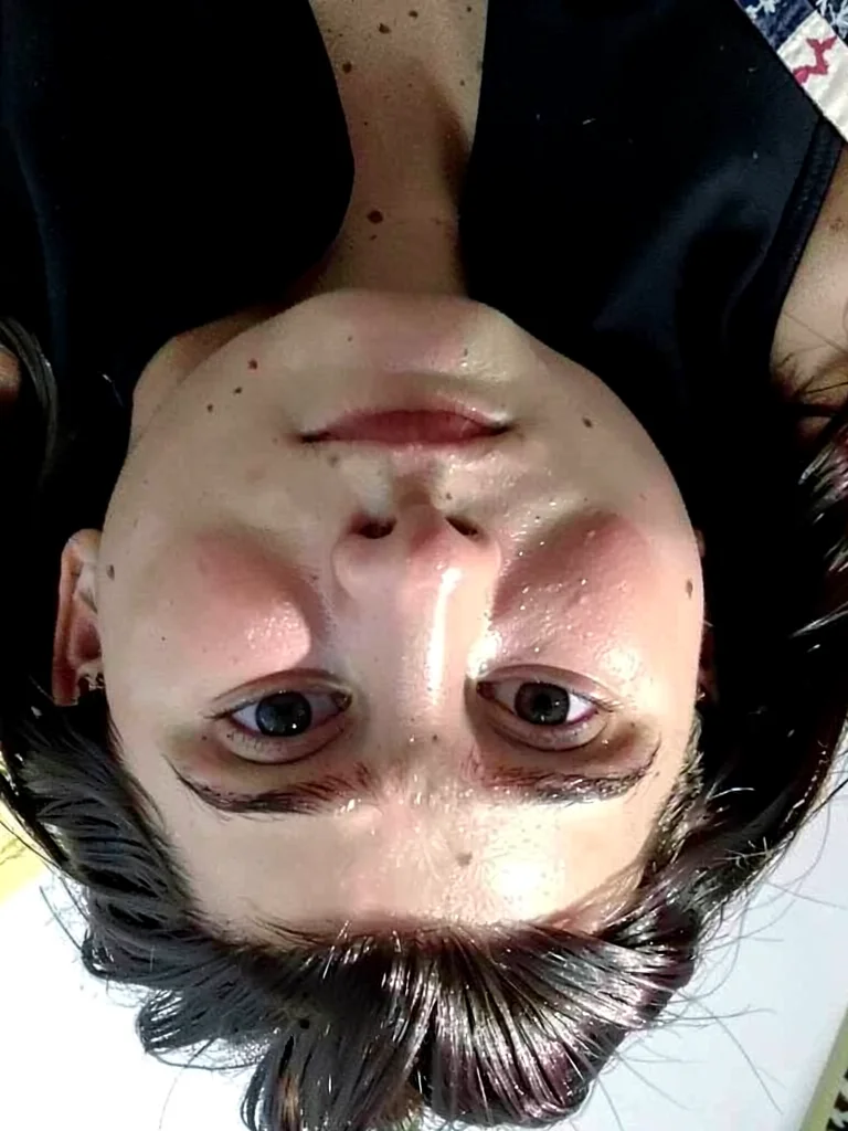 Portrait partial inversion