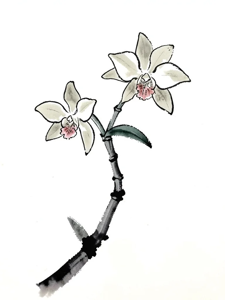 Orchid spray with three blooms, ink gradation from dark root to pale petal