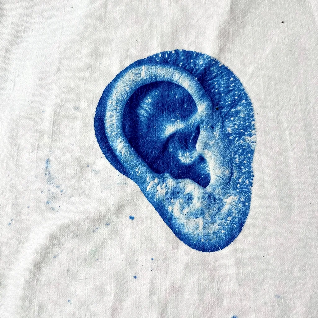 An ear pressed directly onto cyanotype paper — contour and texture in Prussian b