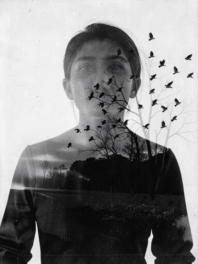 Birds through figure silhouette