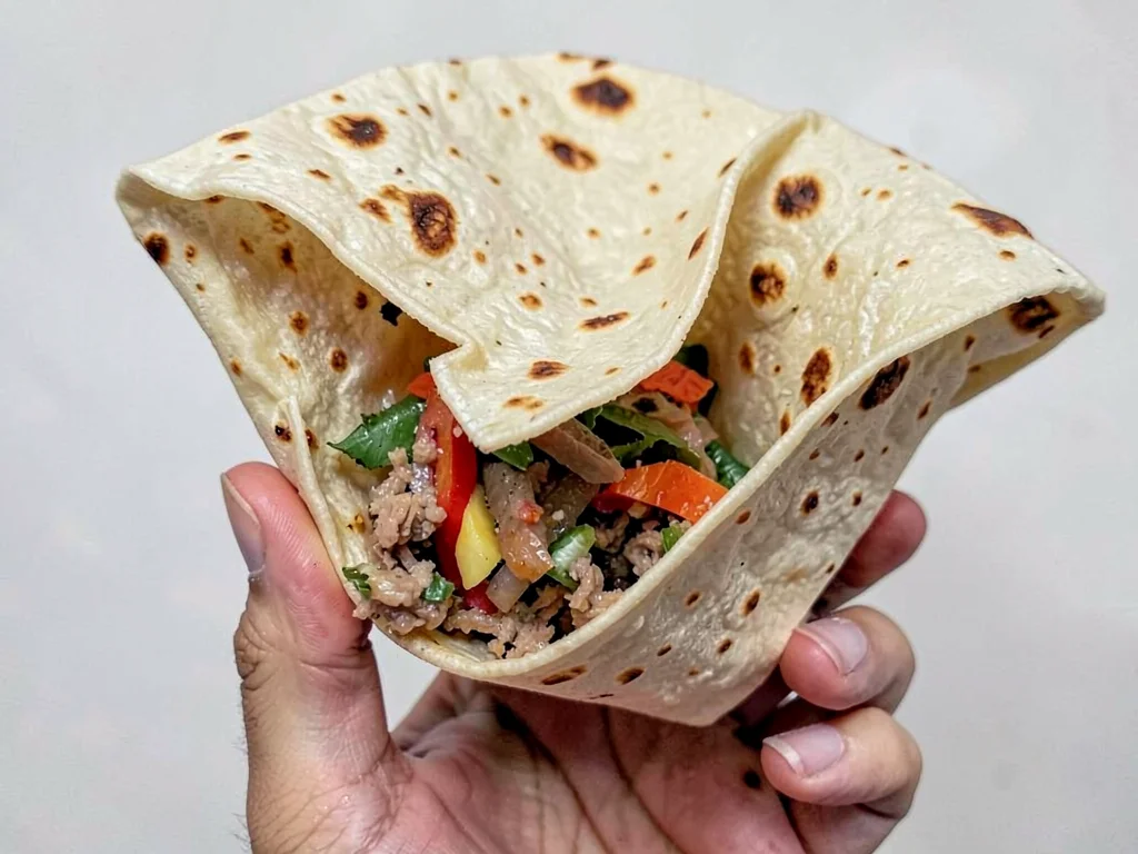 Hand holding a burrito toward camera, tortilla distorted to enormous proportion,