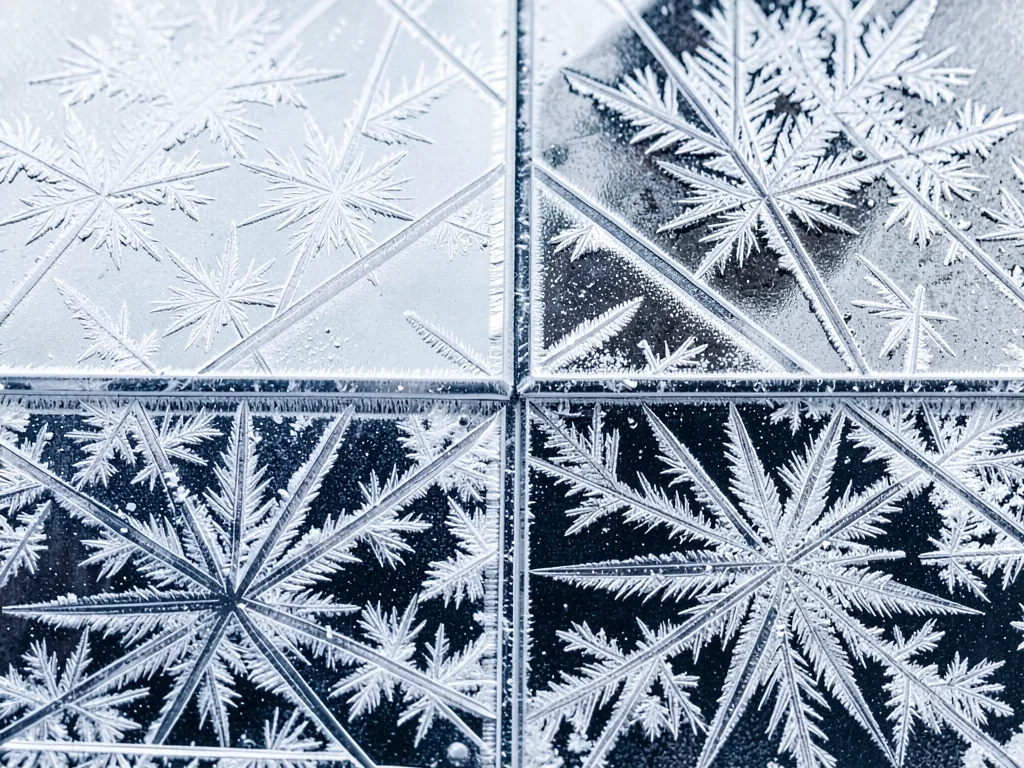 Window frost showing transition between crystal growth patterns