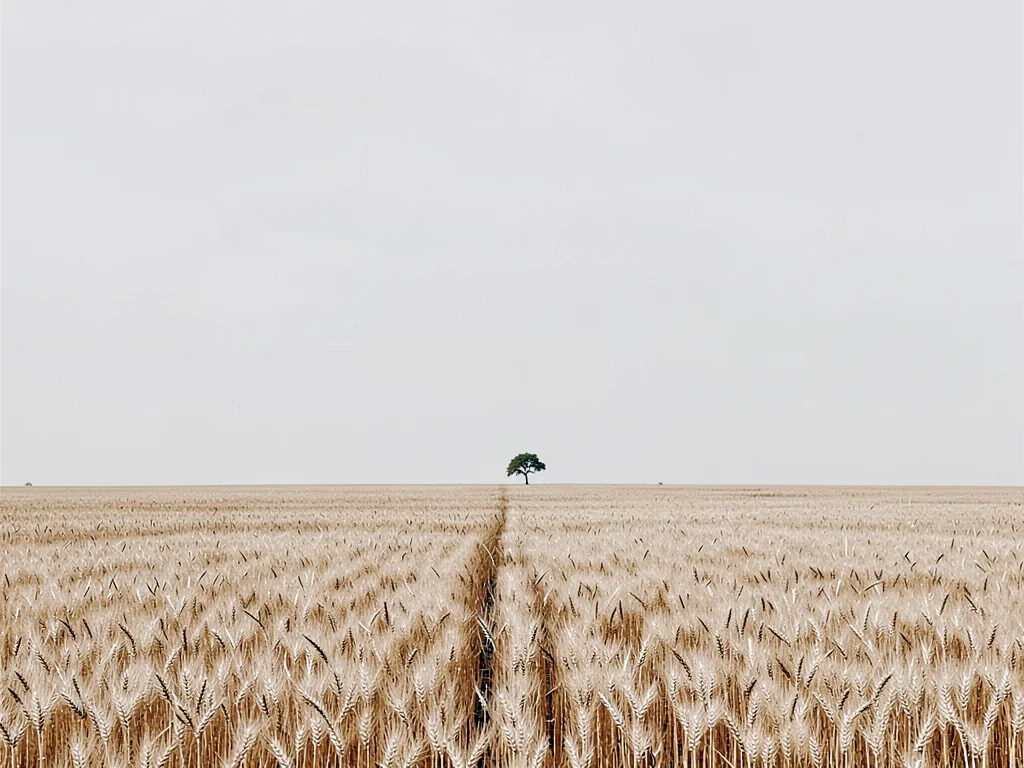 Tiny tree on horizon line with massive negative space of wheat field