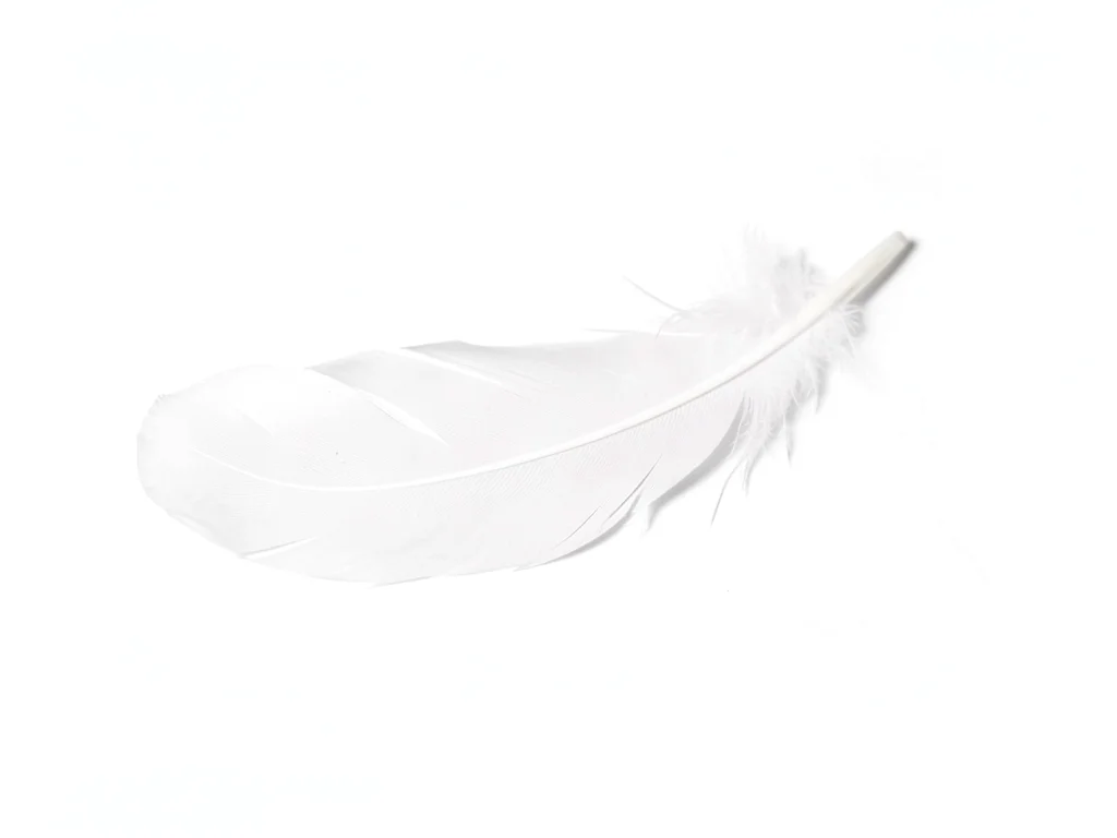 White feather minimal placement
