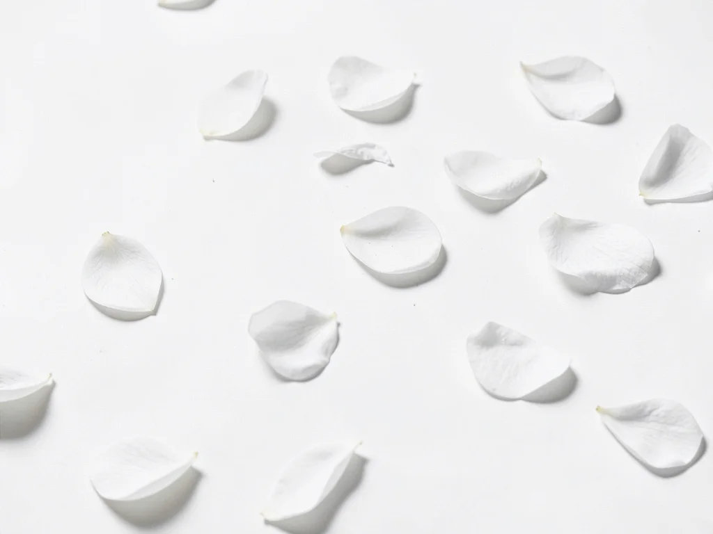 White petals fallen minimal
